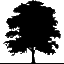 Ashfield District Council logo