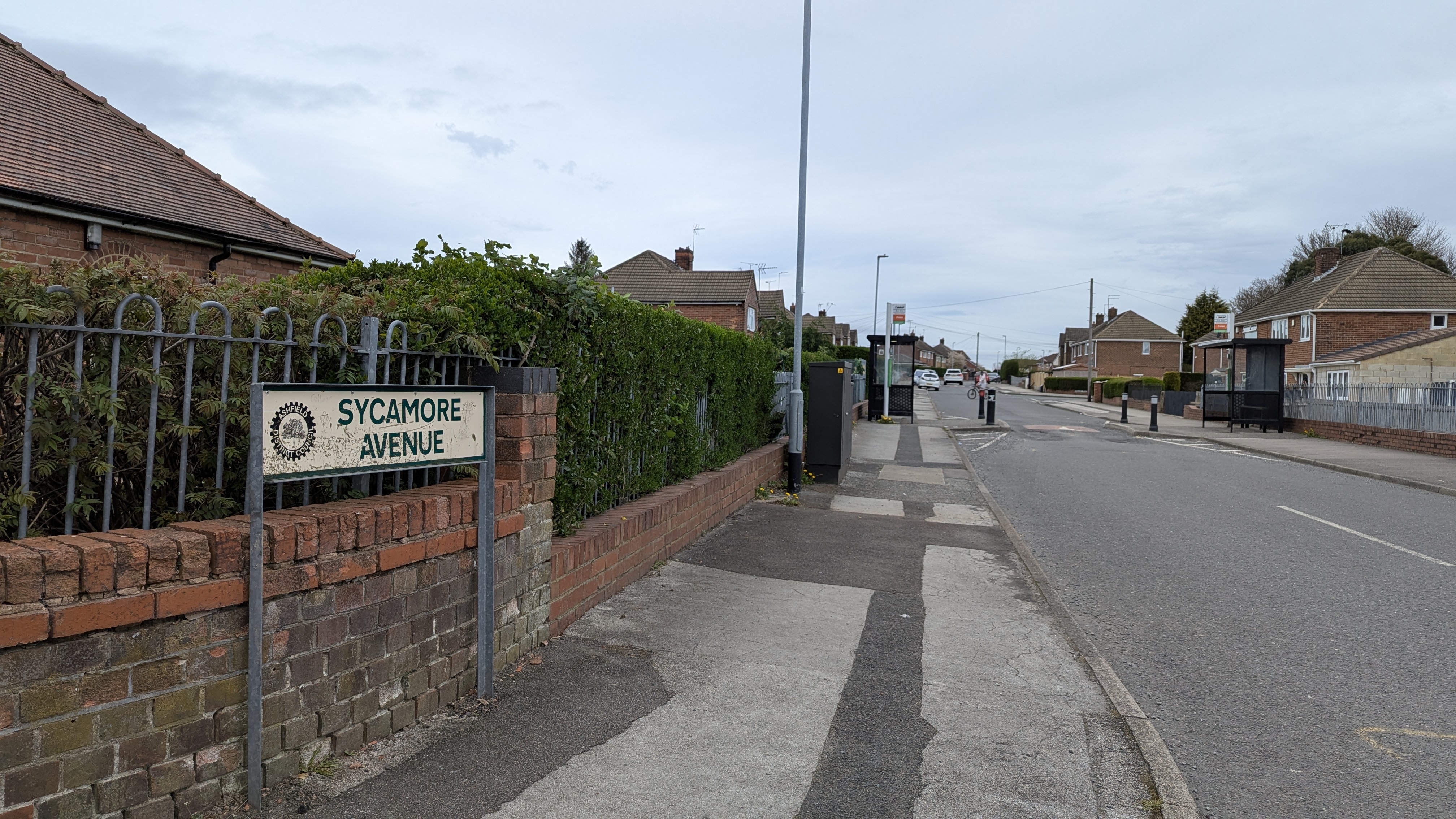 a street sign that reads sycamore avenue 