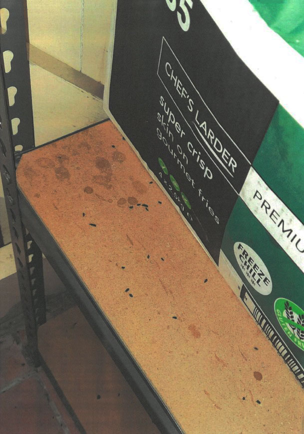 Rat droppings on a shelf at Venezia Takeaway