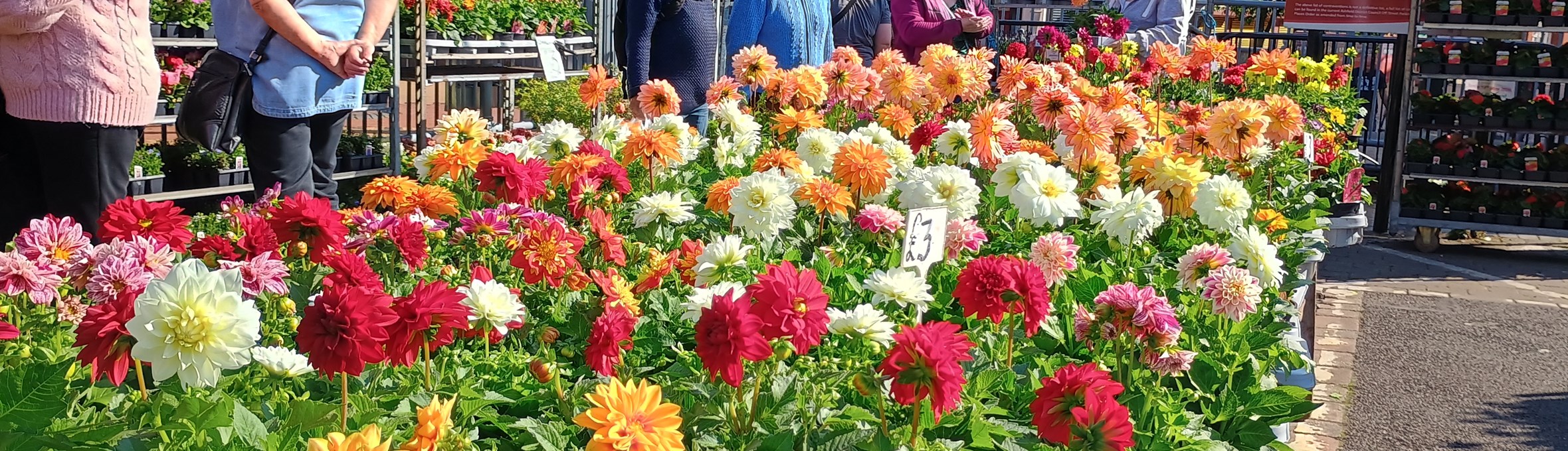 Ashfield Plant and Garden Fair