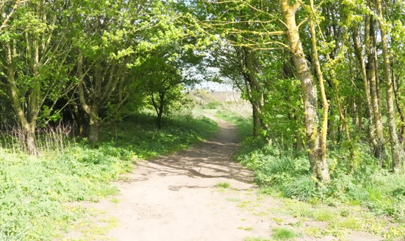 Titchfield Park, Kirkby