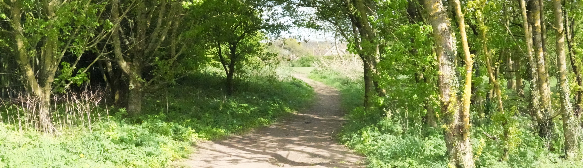 Titchfield Park, Kirkby