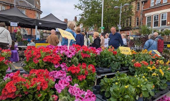 pink, red, yellow and orange flowers with people in the background 