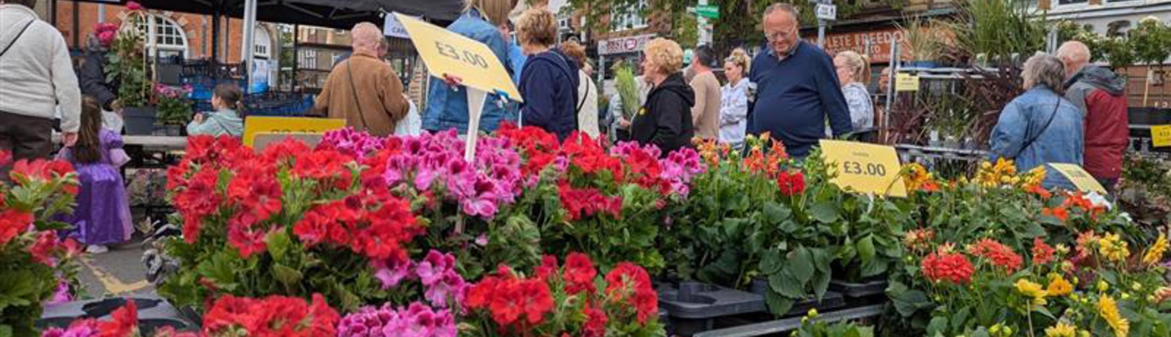 pink, red, yellow and orange flowers with people in the background 