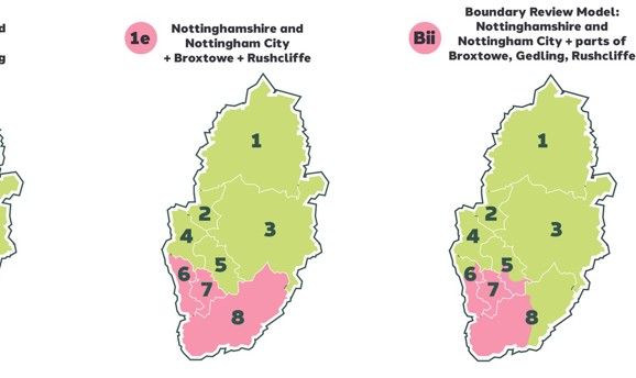 A graphic showing the 3 options for LGR in Nottinghamshire