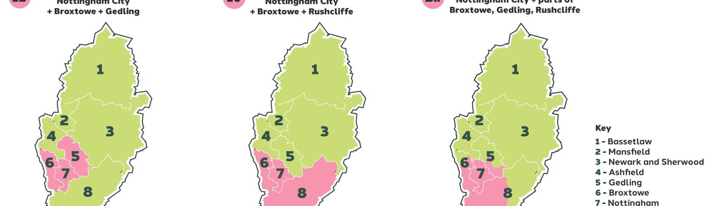 A graphic showing the 3 options for LGR in Nottinghamshire