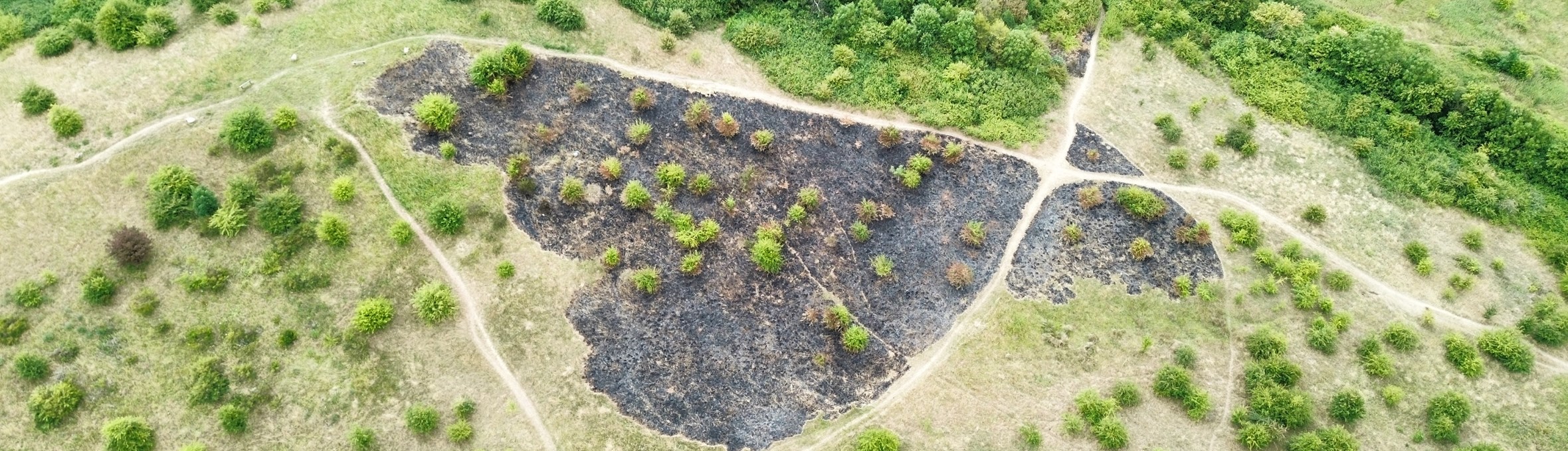 Brierley Forest Park fire damage from the air