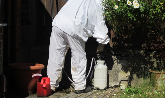 Pest Control 