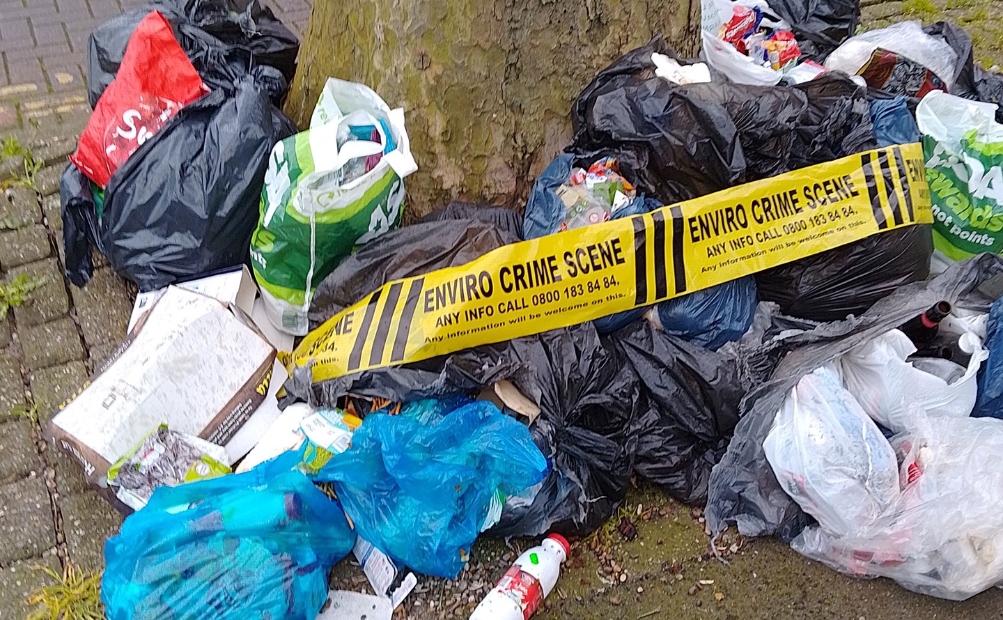 Bags of waste illegally dumped in an Ashfield street 