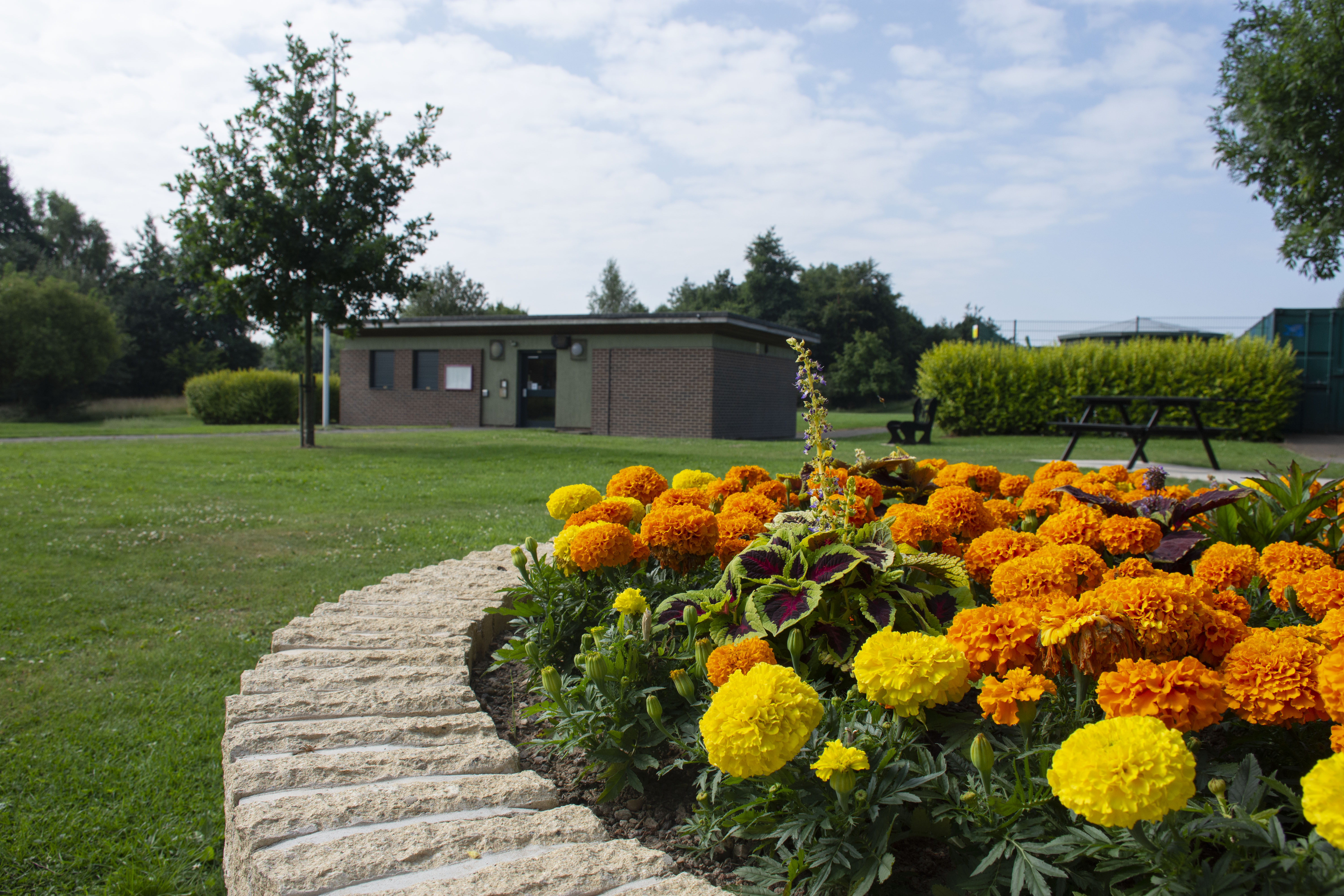 Orange and yellow flowers in front of a one storey building 