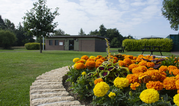 Orange and yellow flowers in front of a one storey building 