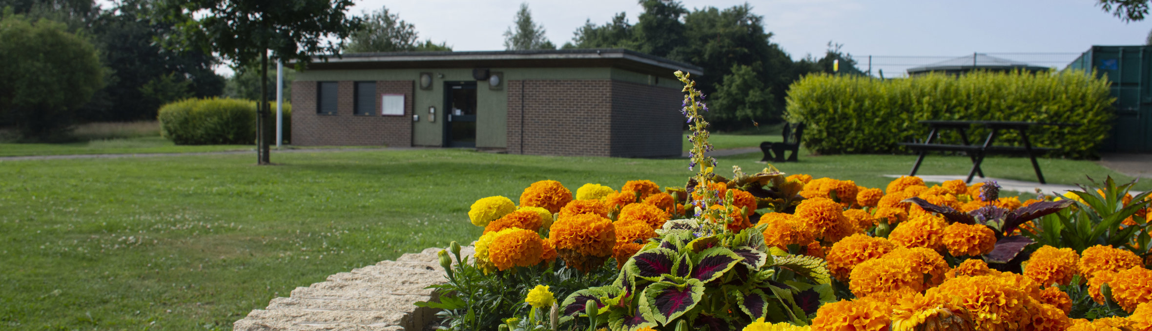 Orange and yellow flowers in front of a one storey building 