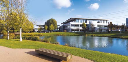Ashfield Innovation and Technology Park - Plaza Pond example